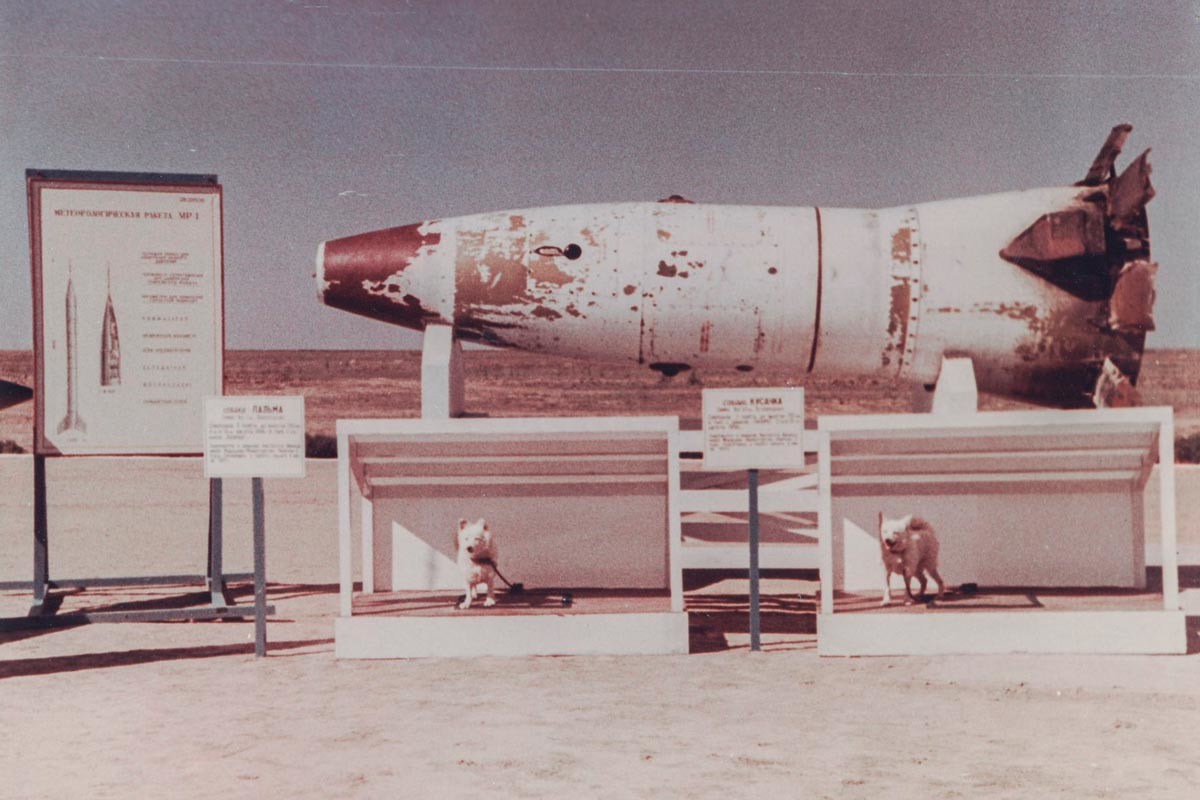 Ракета Р-2А с двумя собаками-испытателями (Пальма и Кусачка) на полигоне Капустин Яр. 