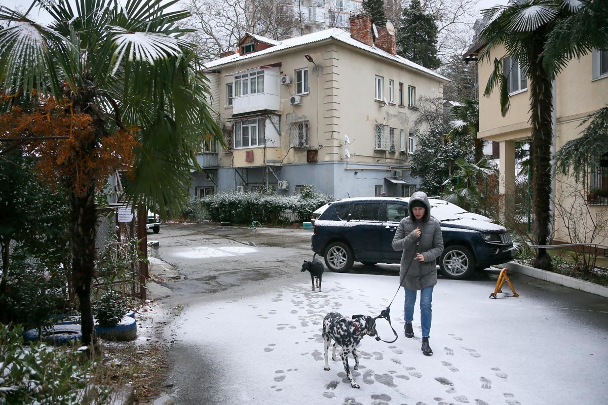 After snowfall in Sochi, mid-January 2021. The temperature has dropped to 0°C.