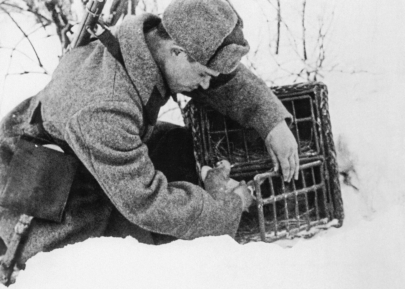 Soldat A. Gontscharow beim Senden einer Taube mit einem Bericht. Der genaue Drehtermin steht noch nicht fest.
