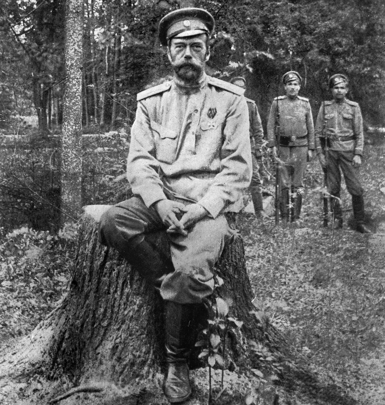 Nicholas II under guard