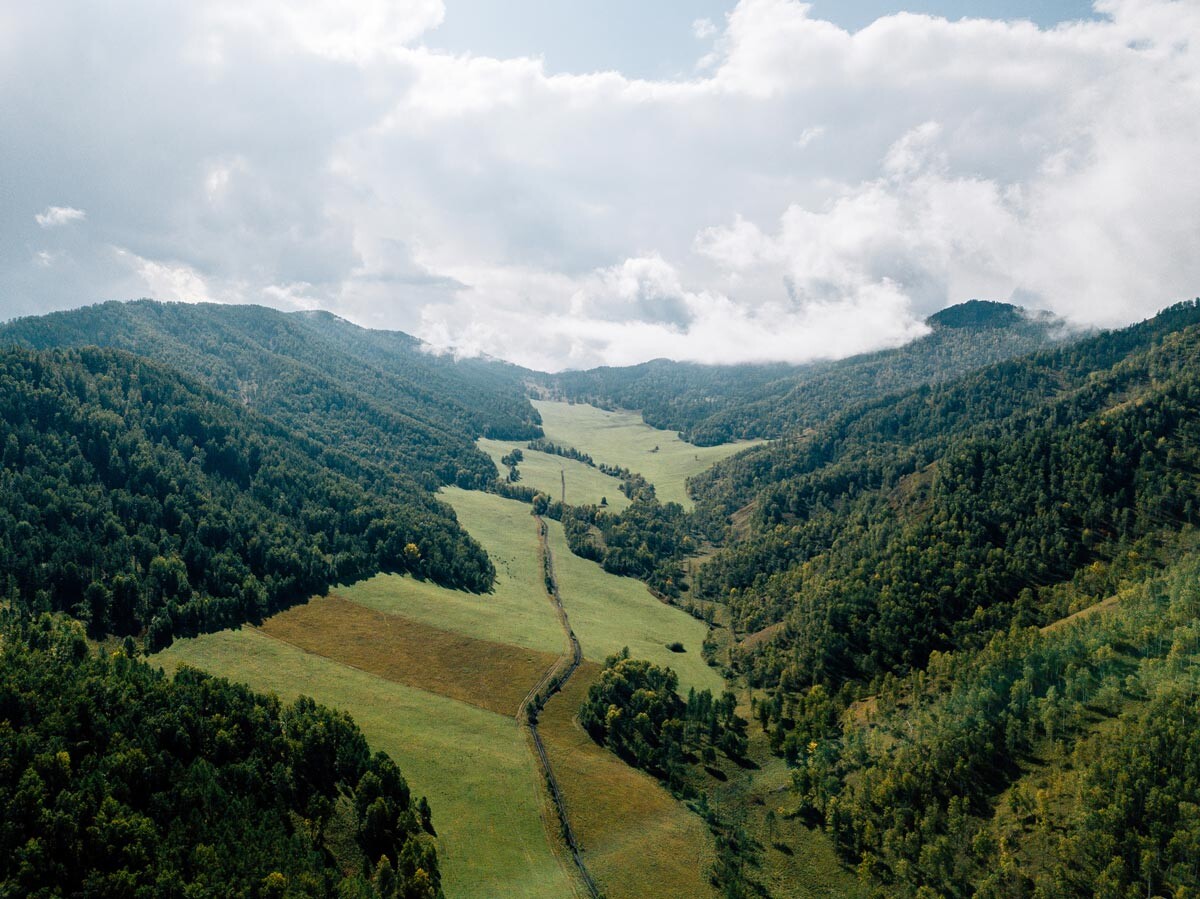 What’s the difference between TUNDRA and TAIGA? Russia Beyond