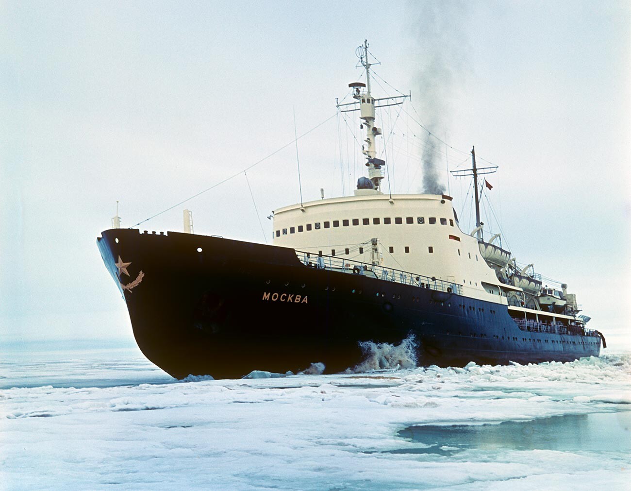 Как един съветски ледоразбивач спасява 2000 белуги между Чукотка и ...