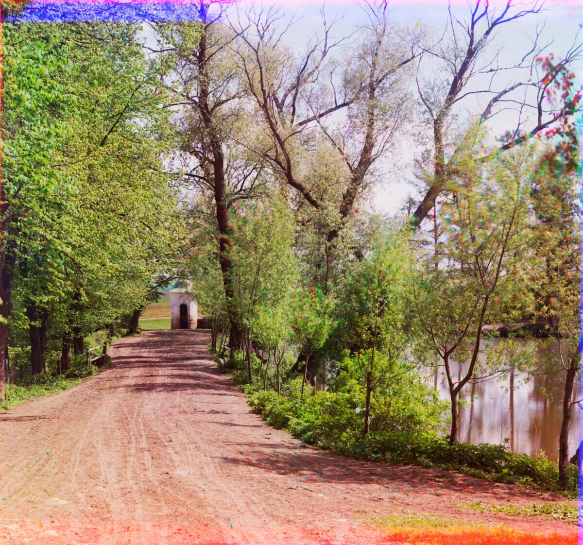 Jasna Poljana. Lipov drevored pri vhodu in Veliki ribnik (desno). Maj 1908
