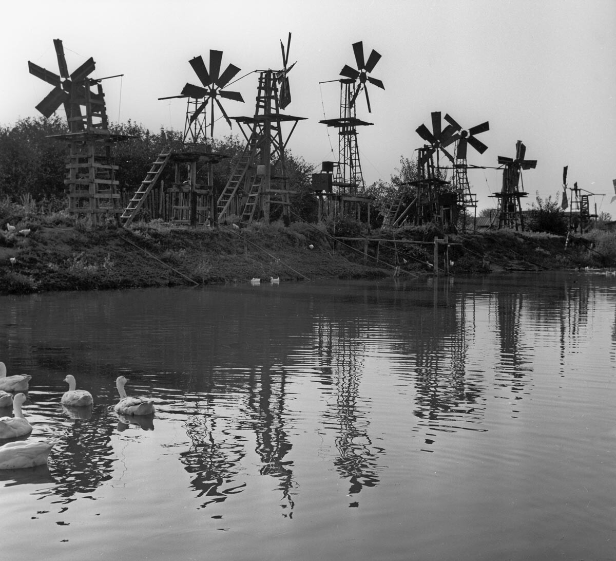 Astrahanj. Vjetrogeneratori na obali jezera pomoću čije se energije voda dovodi do navodnjavanih područja poljoprivrednog zemljišta, 1969. 