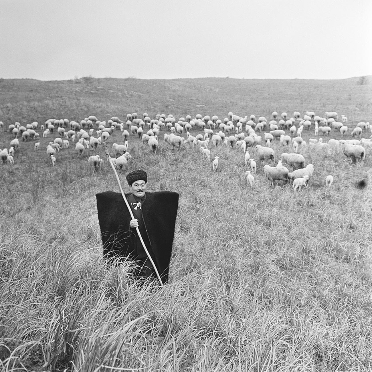 Seorang gembala Soviet, 1960-an