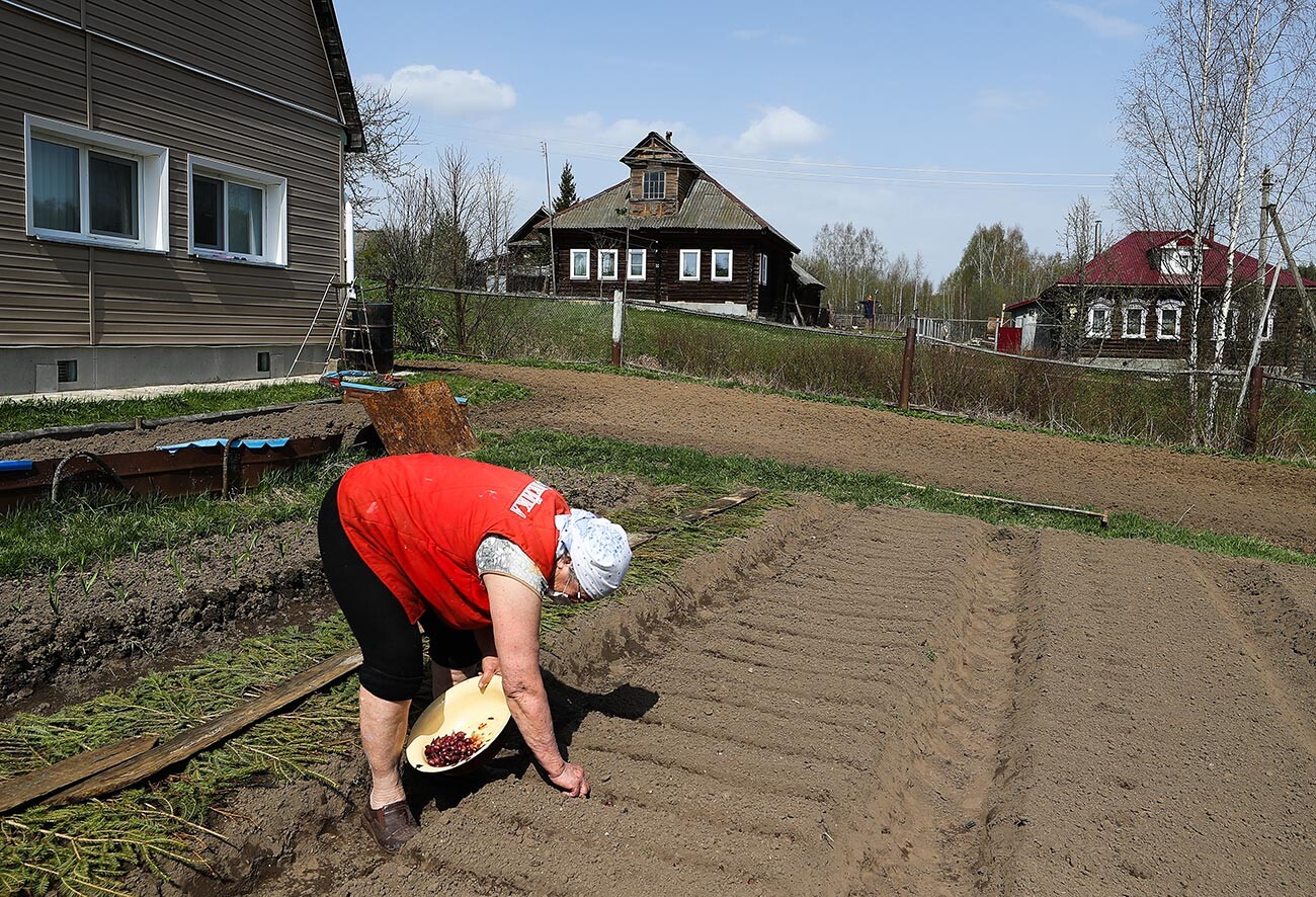 Eine Bewohnerin des Dorfes Gorki bei Pflanzarbeiten auf ihrem Gelände.
