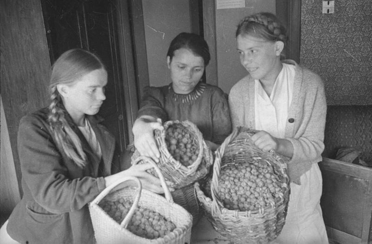 Des filles préparent des framboises récoltées pour faire de la confiture pour l'hiver.

