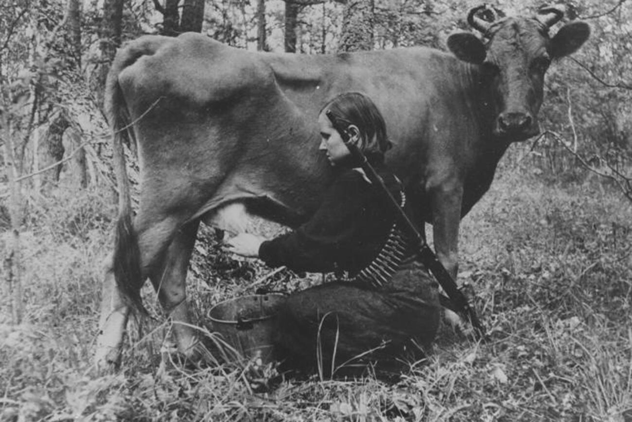 Une infirmière partisane trayant une vache
