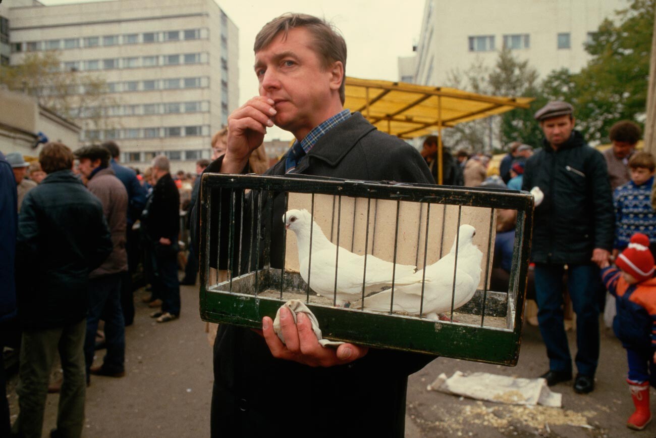 Moški z golobi v kletki na živalski tržnici v Moskvi.
