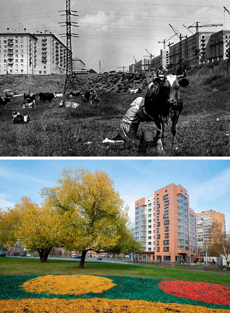 Esquerda: Aldeia de Tcheriomuchki, 1954; Direita: Prédios novos em Tcheriomuchki, construídos no lugar de antigos edifícios de painéis, 2020