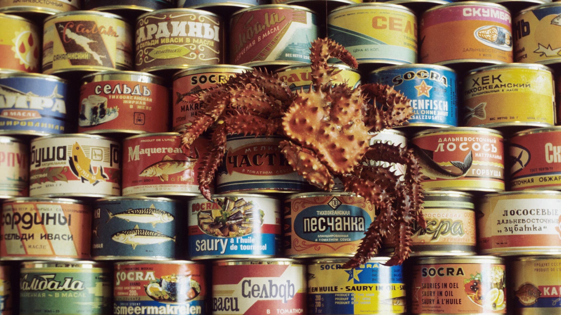 Canned seafood from the Sakhalin Region.