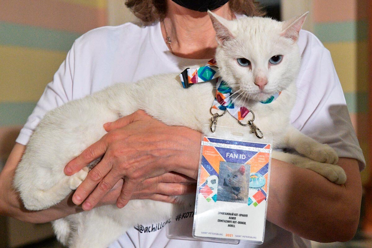 ロシアのインターネットで最も有名な猫10匹