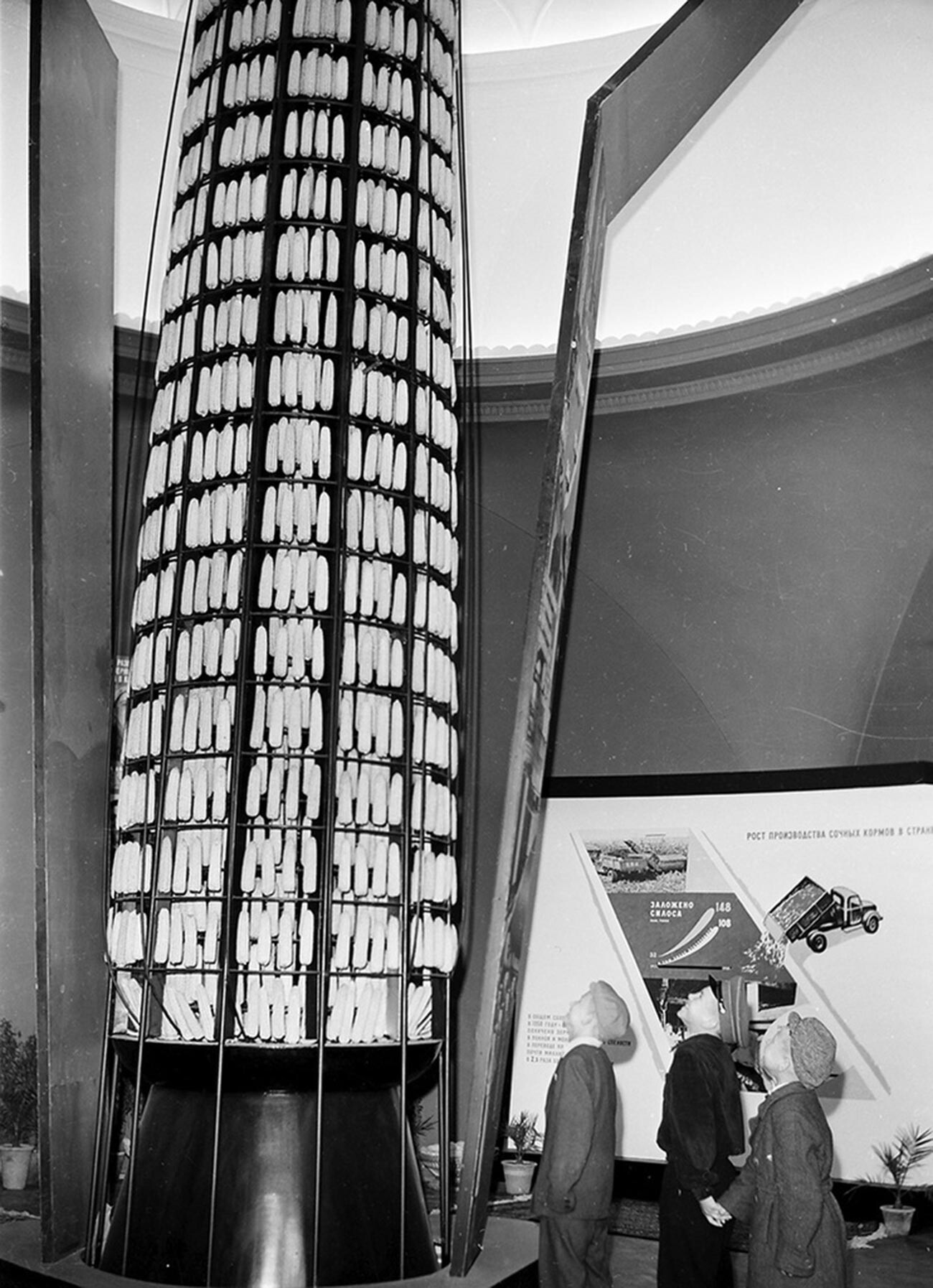 Installation de maïs: «Le symbole phallique de l’ère Khrouchtchev», 1959