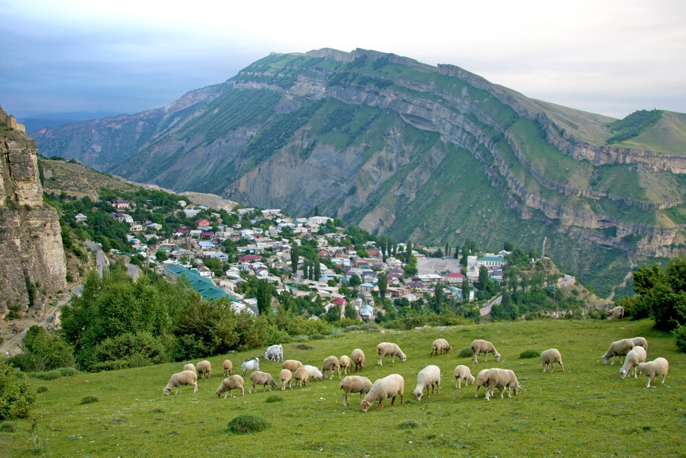 La République du Daghestan est un sujet fédéral de Russie, situé dans la région du Caucase du Nord. Sa capitale et plus grande ville est Makhatchkala.  