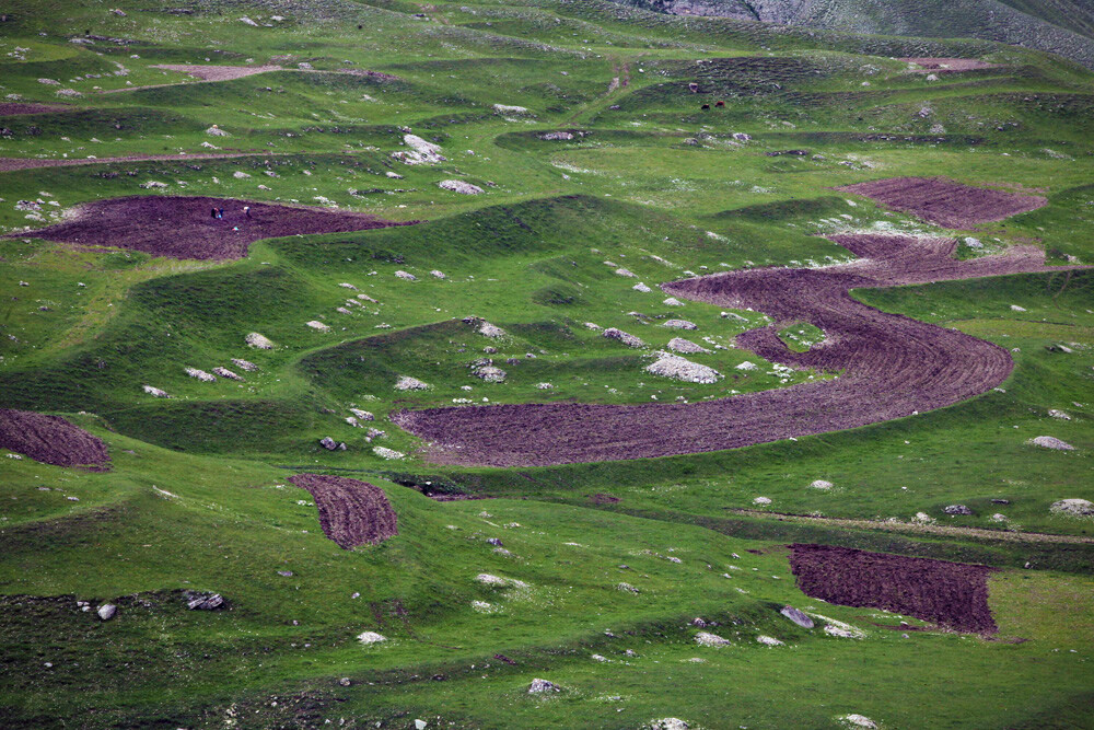 Les hautes terres du Daghestan présentent des caractéristiques climatiques uniques. Le microclimat du haut plateau de Gounib, la flore remarquable, les paysages alpins et subalpins rendent le repos des touristes ici très favorable.  