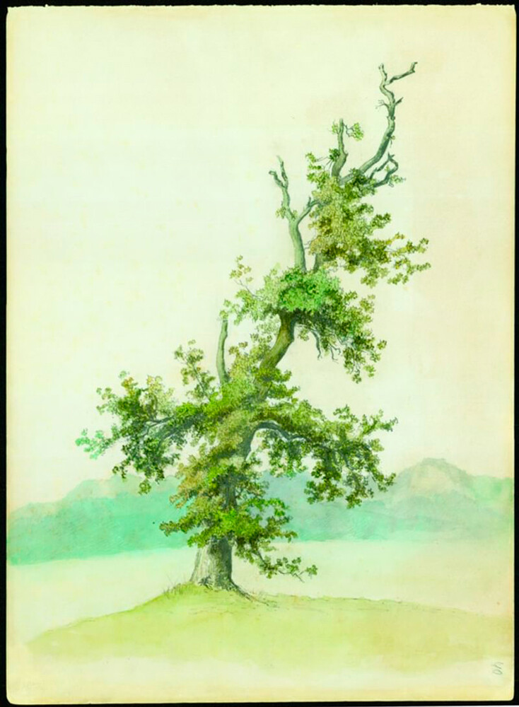 「古い木」、1860年代
