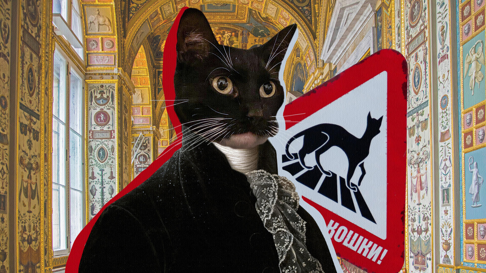 Мечты эрмитажного кота Лушки.
