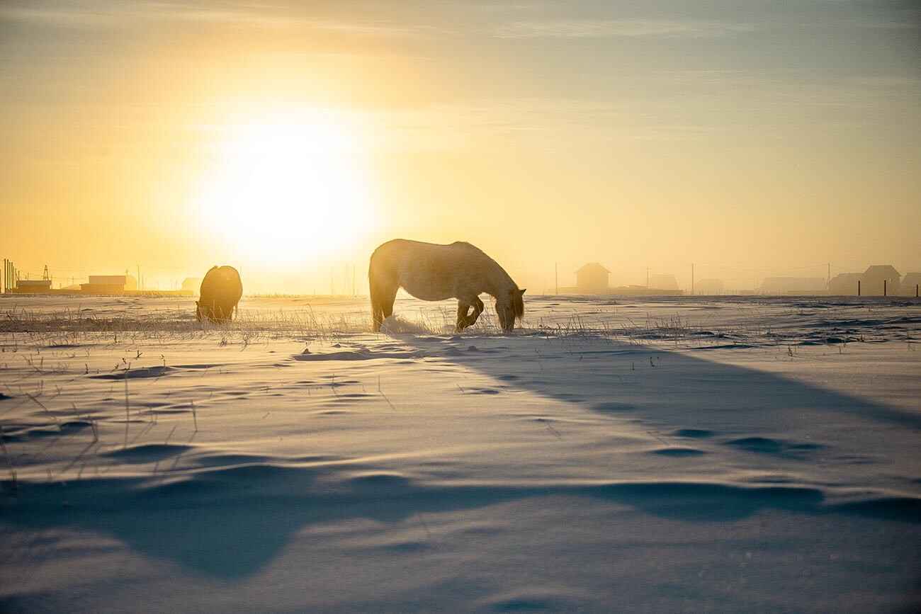 ヤク―ト・サハ共和国の短く凍てつく冬に沈む太陽