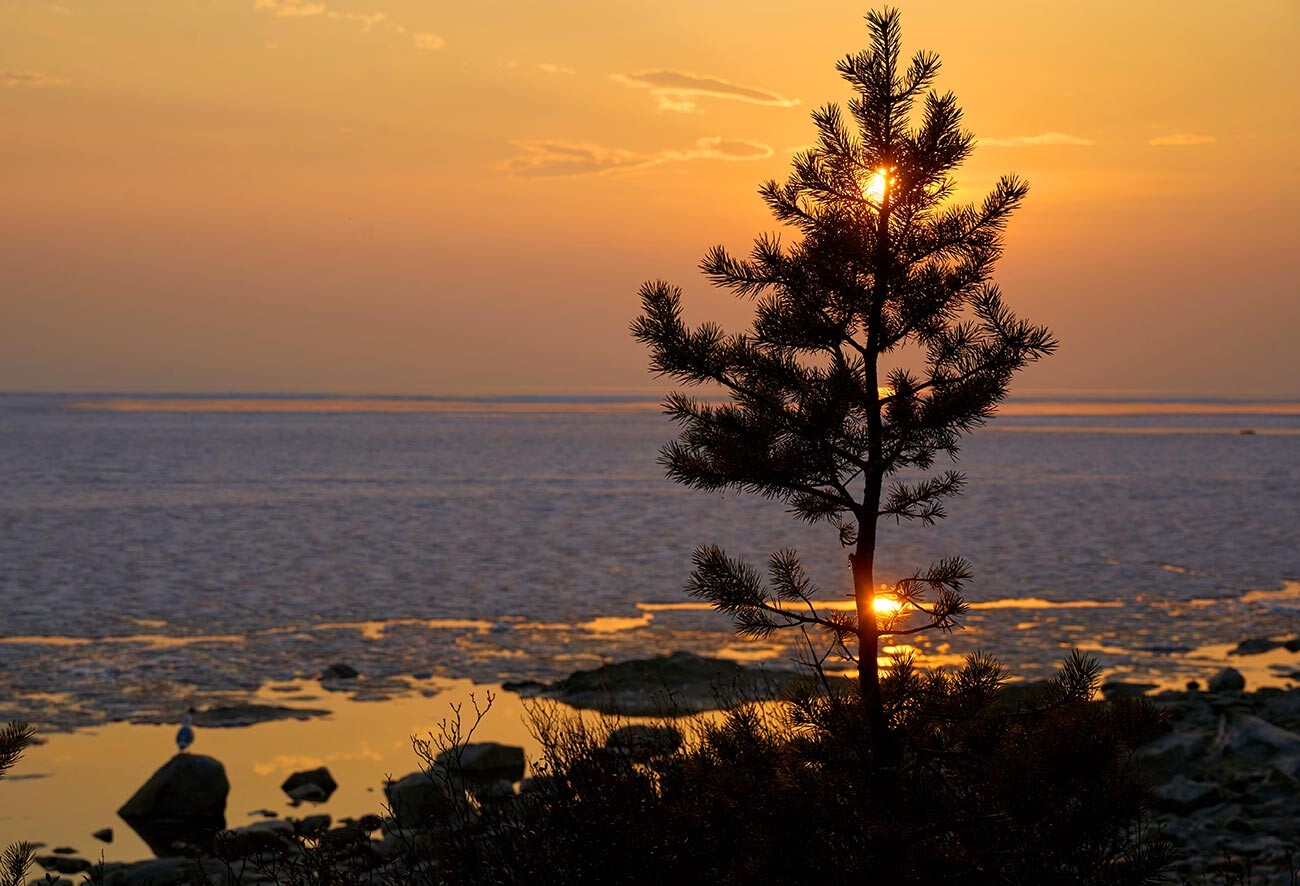 Obala Bajkalskega jezera blizu vasi Gorjačinsk v Republiki Burjatiji.