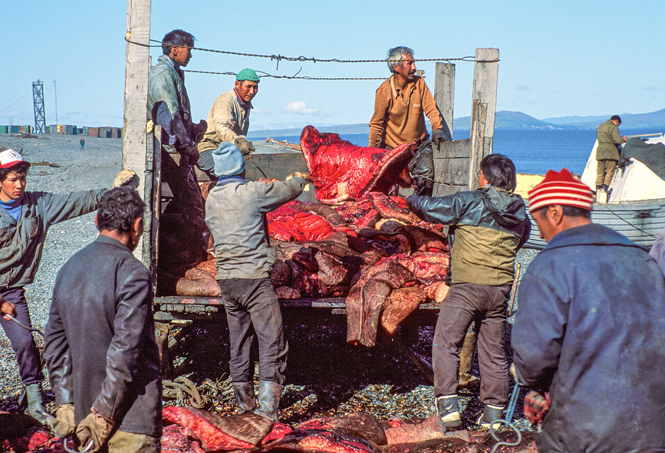 Les habitants de la colonie pratiquent surtout la chasse à la baleine. La Tchoukotka est l'une des rares régions où la chasse non commerciale à la baleine et au morse est encore autorisée.

