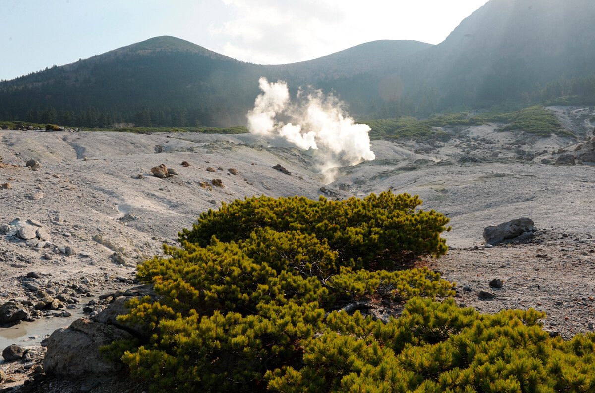 Fumar fields of Mendeleeva volcano 