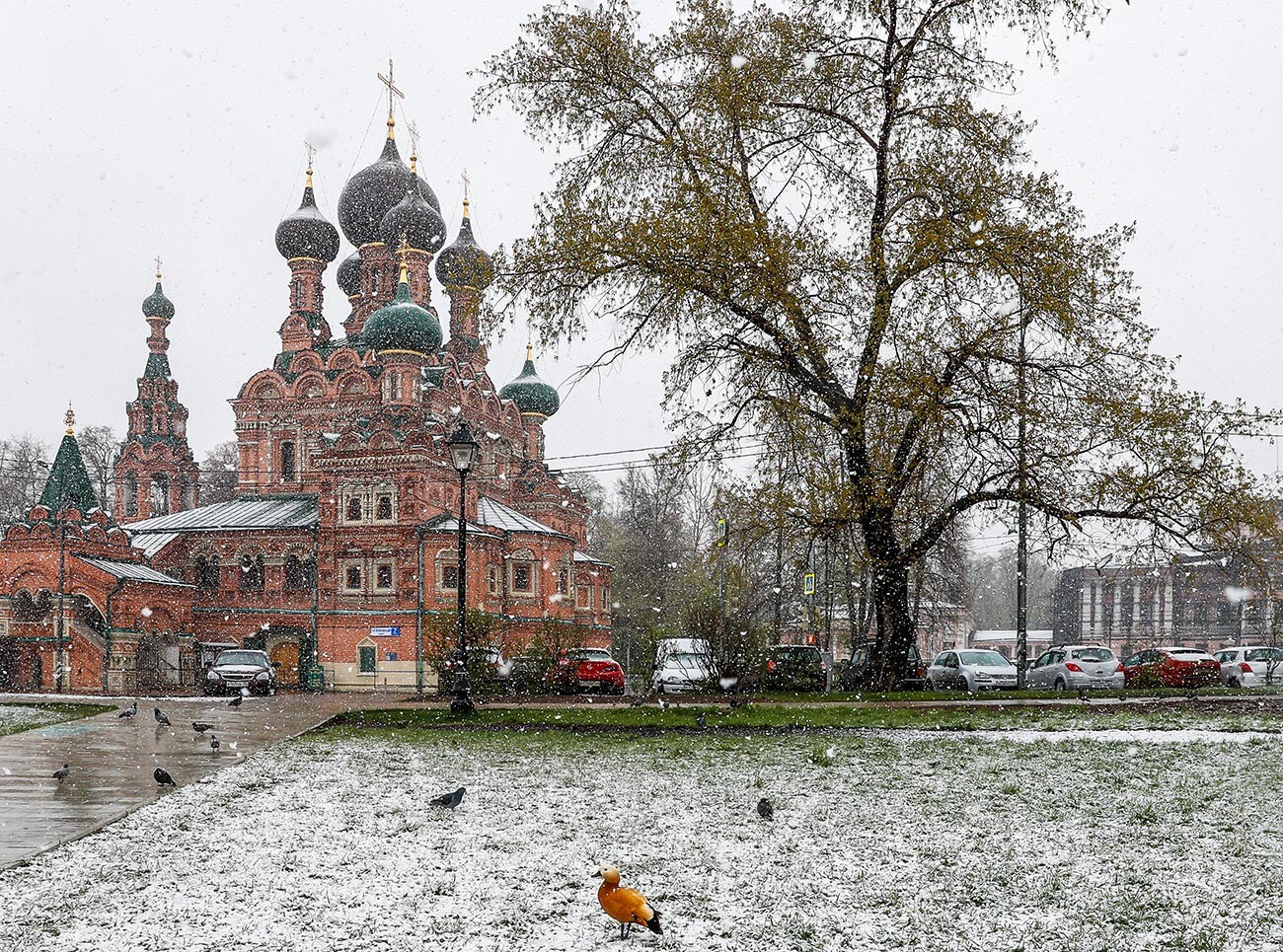 Snowfall in Moscow, May 2017.