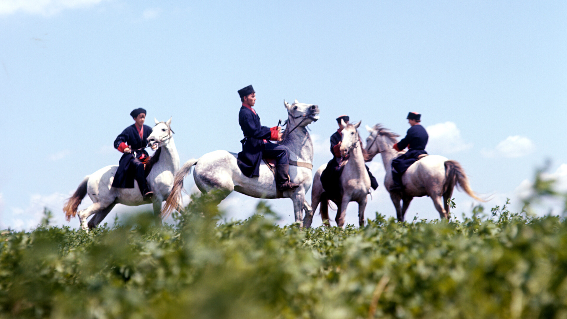Kuban Cossacks, 1979