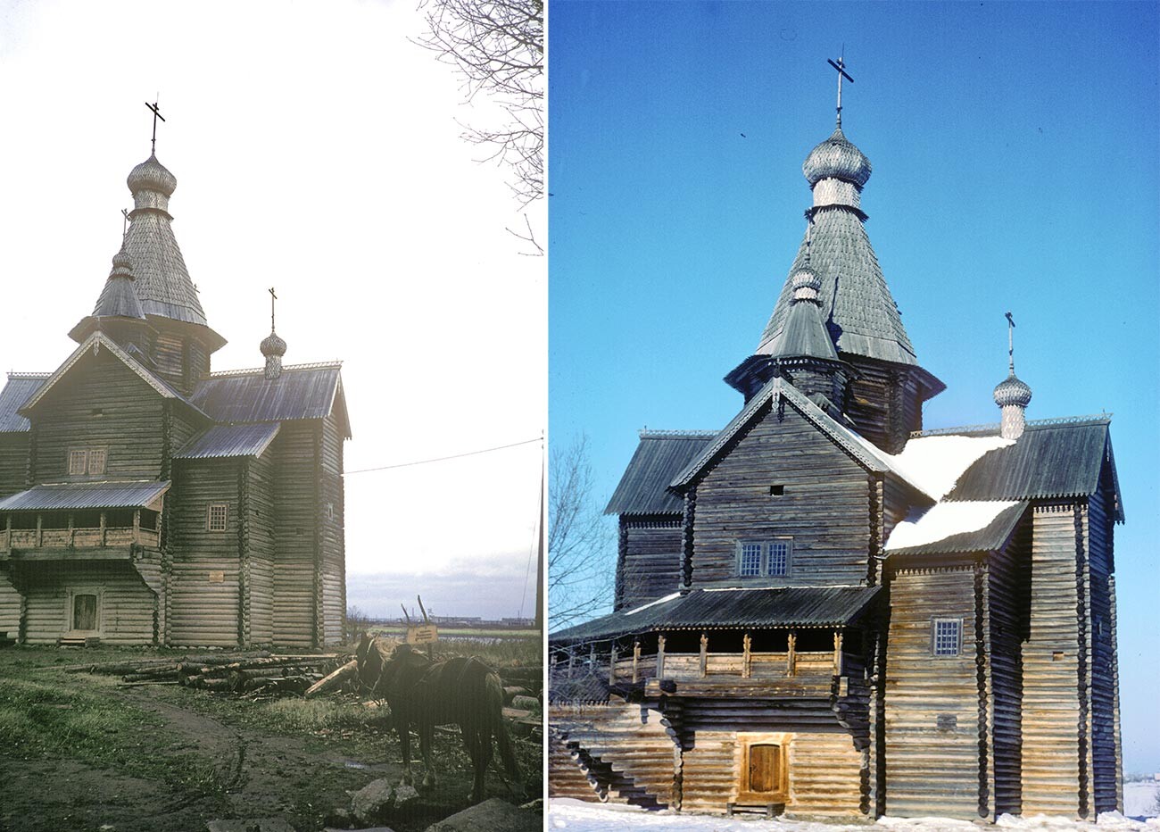 Vitoslavlitsy. Church of the Nativity of the Virgin, from the village of Peredki. Left: Southeast view. Unique photograph at the final stage of reconstruction, with replaced logs of lighter color (October 21, 1971). Right: South view. Replaced logs still visible from lighter color (March 14, 1980)
