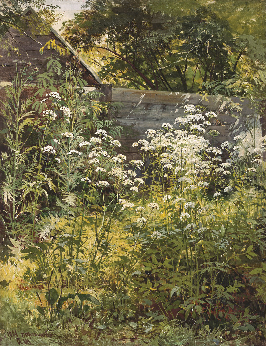 Ecke eines überwucherten Gartens. Gierschgras, 1884