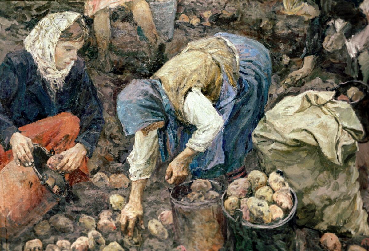 Picking potatoes, by Arkadiy Plastov, 1957