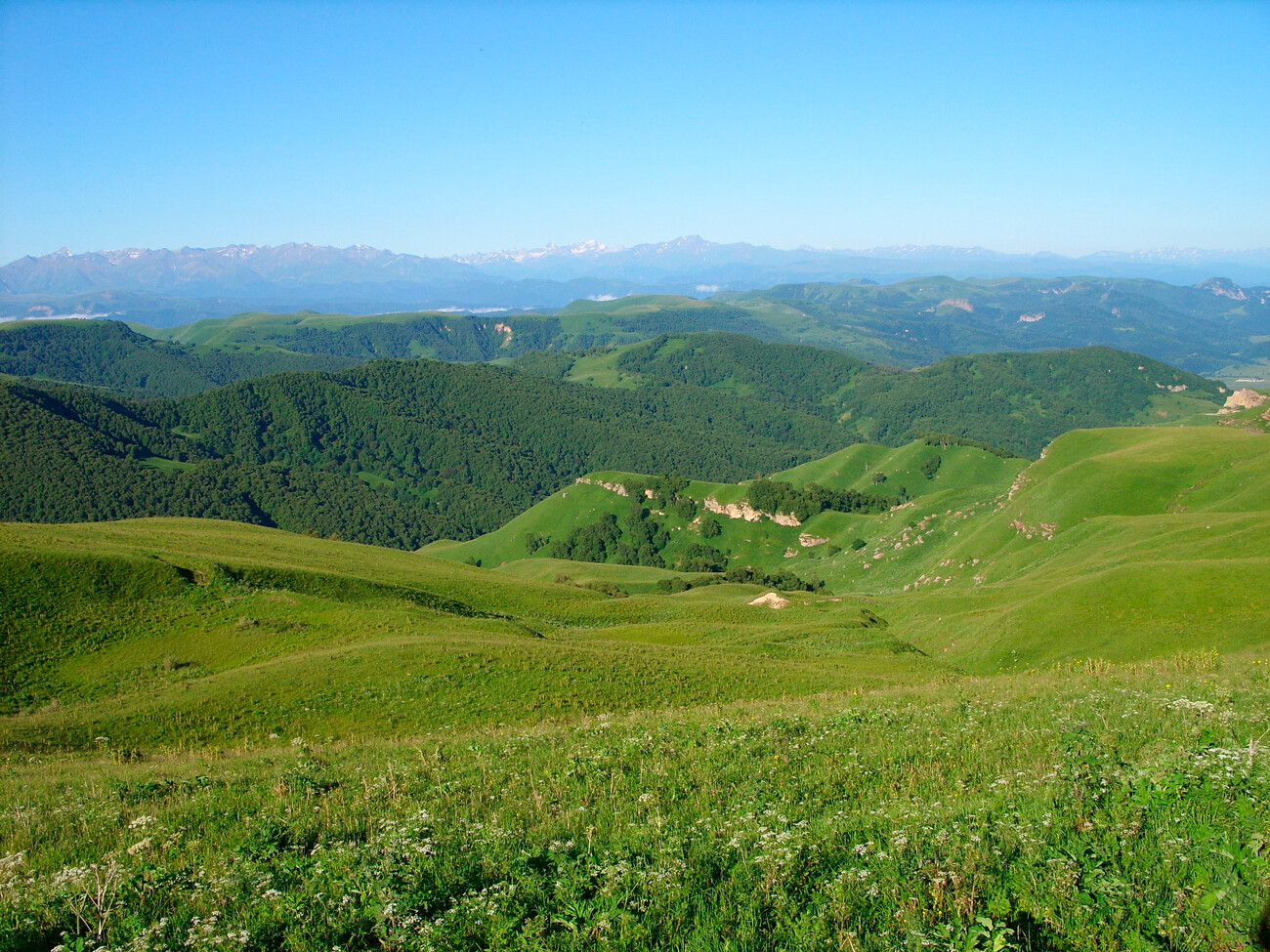 Летний домбай фото