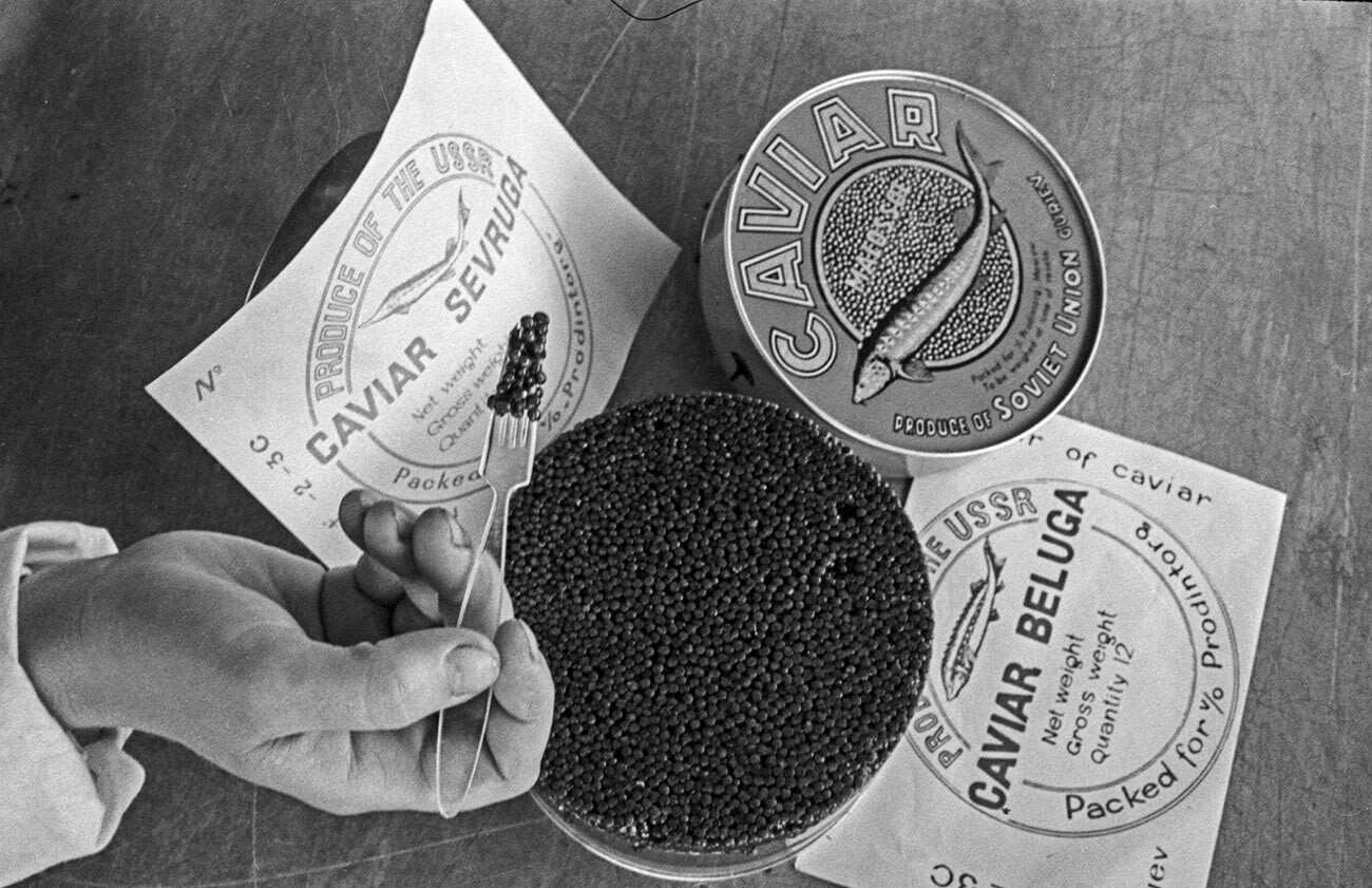 Caviar beluga soviético.
