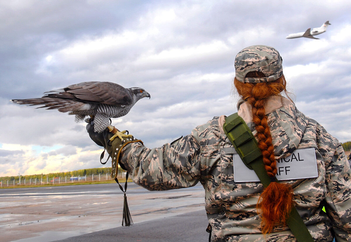 Un'ornitologa all'aeroporto di Mosca
