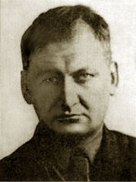 Дмитриј Лудвигович Томашевич