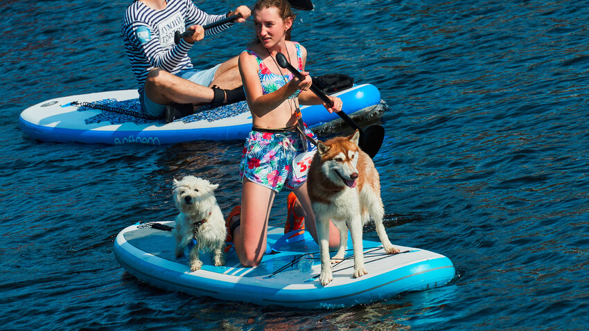 Best PHOTOS from St. Petersburg's 2022 SUP festival - Vimarsana News