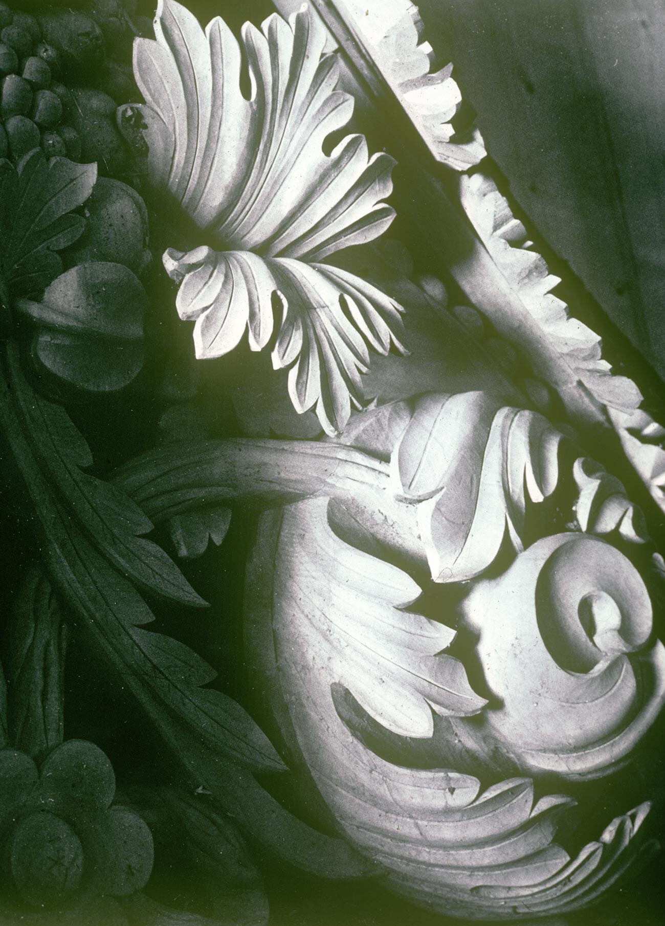 Troitse-Lykovo. Chiesa della Trinità, interni. Frammento di un nuovo elemento in legno intagliato per il restauro dell'iconostasi originale. 2 maggio 1980
