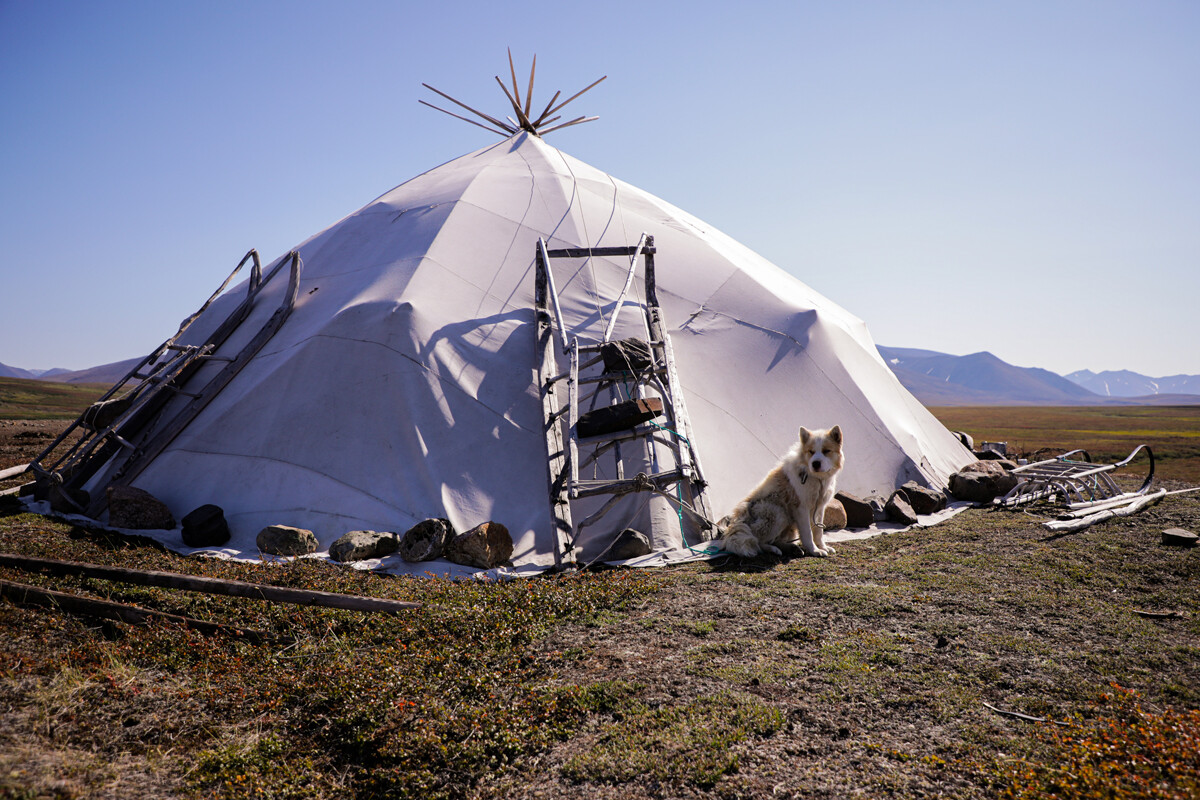 La tenda di una famiglia nomade nella tundra

