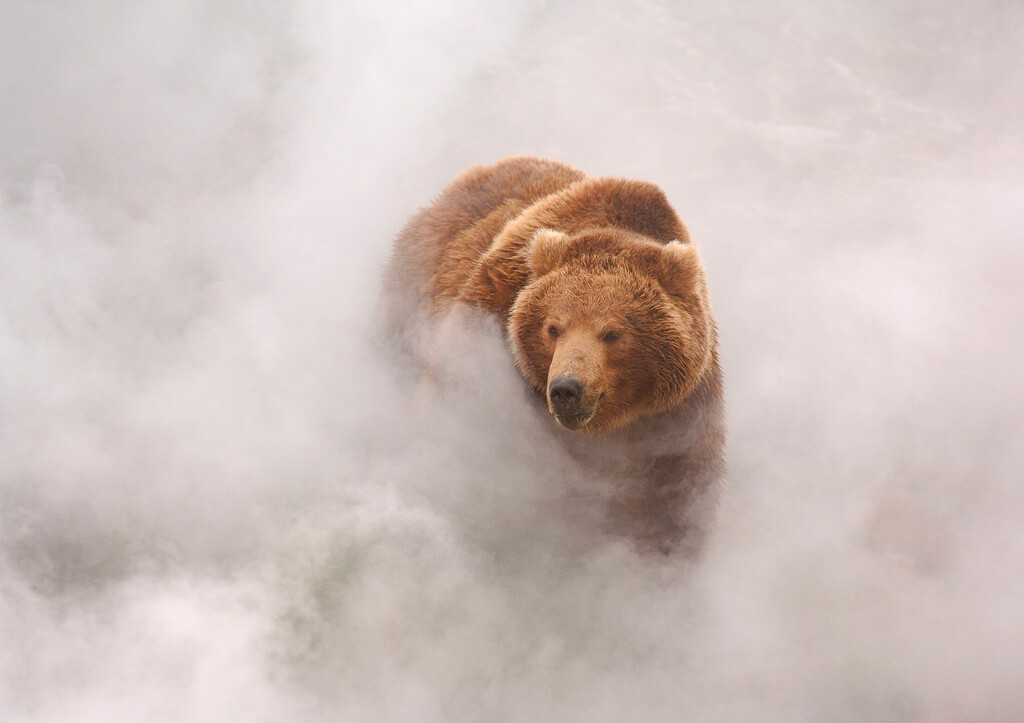  Долината на гейзерите, Камчатка 