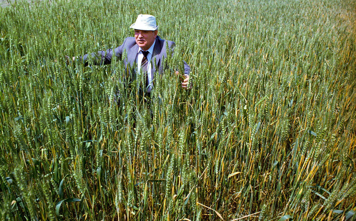 カザフスタン訪問中に畑を歩くゴルバチョフ、1991年