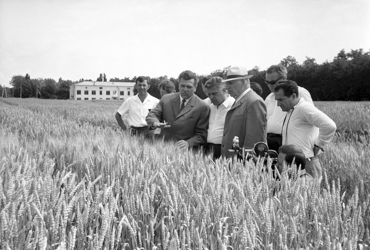 The Hungarian delegation, headed by Hungarian Minister of Agriculture Istvan Gergey, on the field of the Krasnodar Research Institute of Agriculture. 1972.