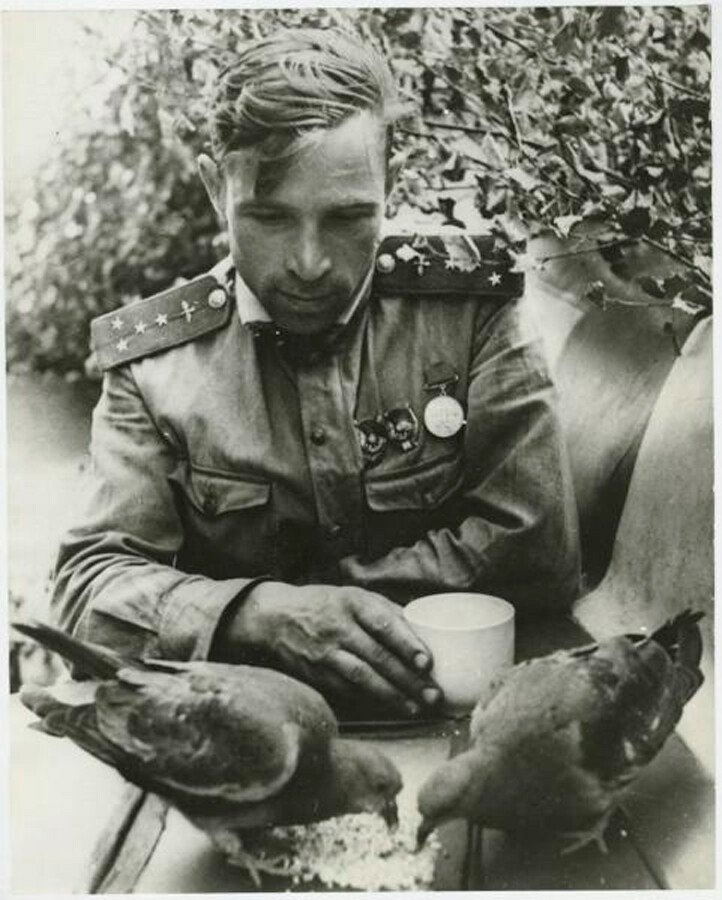 1943 Viktor Vasiljevič Popov - navigator 263. polka bojnega letalstva, kapetan
