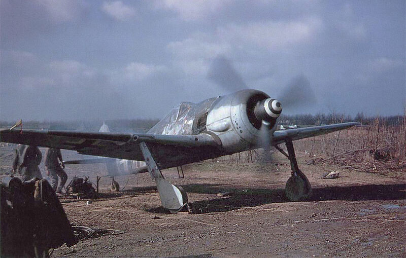  FW 190A-8. Този аероплан е покорен от американците. 1945. 