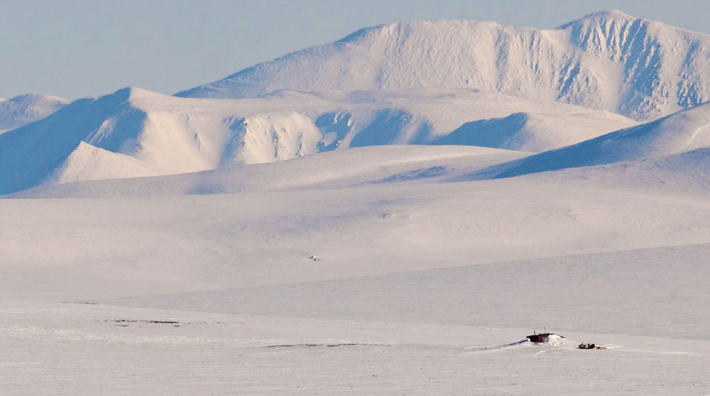 The home of the polar bear - Russia Beyond