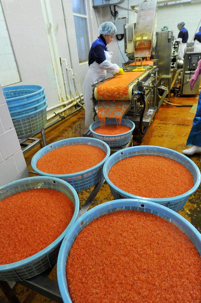 Tunaicha ist eines der wenigen russischen Unternehmen, die mit Erfolg konservierte Delikatessen auf dem internationalen Markt vertreiben, insbesondere roten Kaviar. Russische Feinkost dieses Unternehmens erfreut sich in Großbritannien, Holland, Italien und anderen Ländern Westeuropas großer Nachfrage.