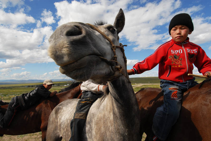 Pour les peuples nomades traditionnels, le cheval n'est pas seulement un moyen de transport au cours de la saison de pâturage et des migrations; c'est une source de viande, de fourrure, et de crin.