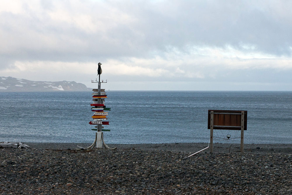 At the Bellingshausen Station in Antarctica.