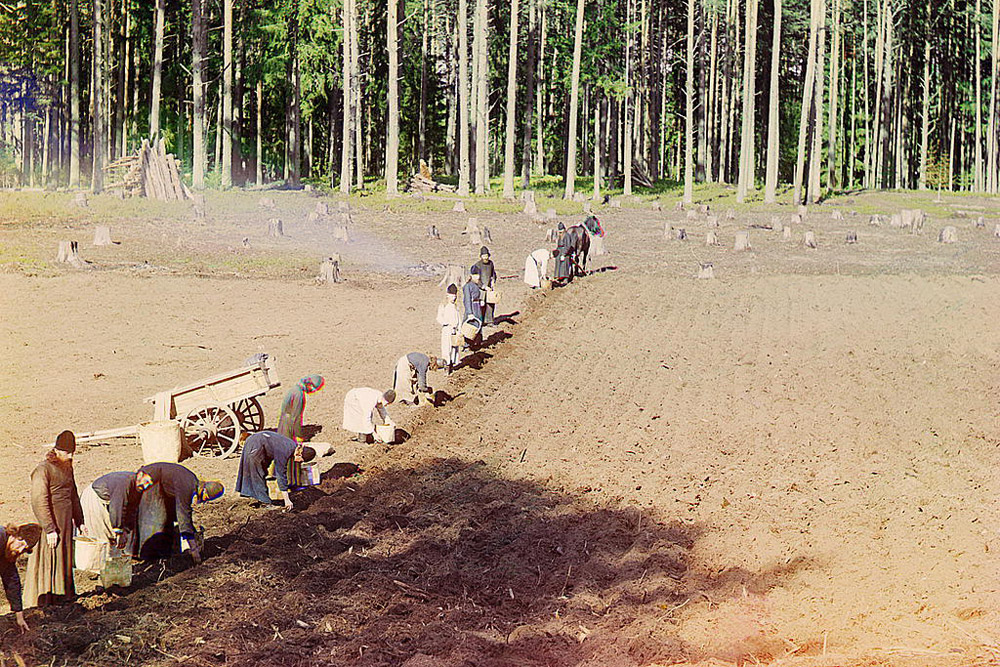 Monks at work. Planting potatoes near Gethsemane Monastery. 1910 // In the course of ten years, Sergey Prokudin-Gorsky was to make a collection of 10,000 photos.