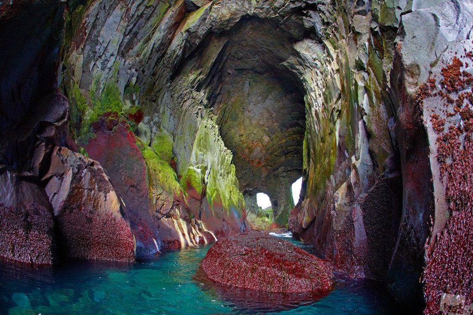 Es kann mit seinen ungewöhnlichen Farben schockieren // Emerald Grotte, Kurilsk