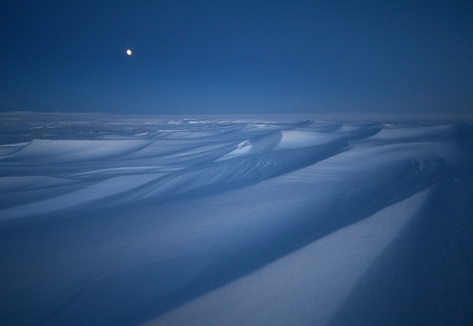 La tundra en la oscuridad de la larga noche invernal.