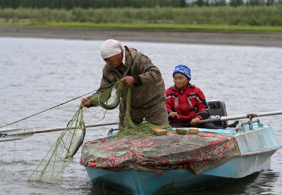 Les activités traditionnelles sur la rivière Indigirka sont la pêche et la transformation du poisson, ainsi que la chasse.